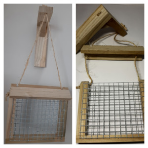 Popular And New: Bird Feeder - hanging