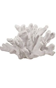 Products: Coral - Decorative - B - Coastal At Home