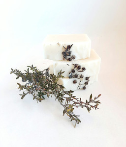 Tea Tree soap Coastal soap NZ