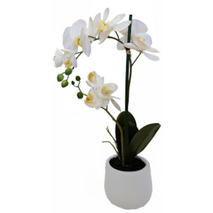 Faux Plants: Faux Potted Phalaenopsis Orchid - 2 Spray