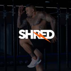 Test Online Programs Bianca Bspoke: Shred (Online Program)