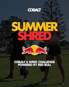 online program: SUMMER SHRED 6 WEEK CHALLENGE