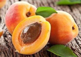Products: Apricot Kernel Oil - Cocavo
