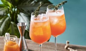 Cocktail Boxes: The Delight Kit Subscription