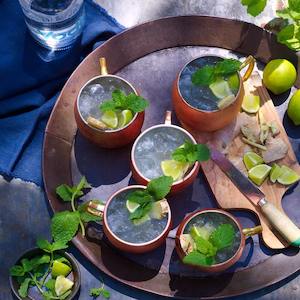 The Moscow Mule Cocktail Box