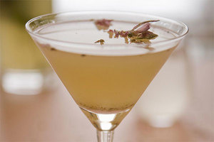 Prohibition Gin