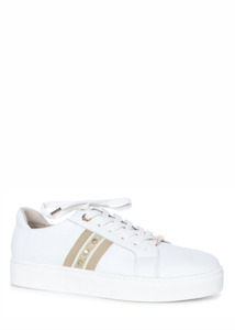 Kathryn Wilson: Coco Caine Trainer