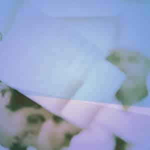 Products: Full Coeliac Member (65+) - Coeliac New Zealand