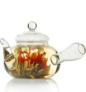 Blooming Teas & Tea Bricks: Kyusu Glass Teapot