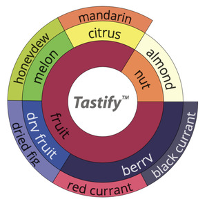Gesha Village 2021 Auction Lot 4 Oma Gesha 1931 – Mossto Fermentation Natural &hellip;