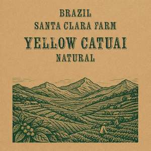 Santa Clara Farm Brazil Yellow Catuai Natural Green Coffee Beans COFFEE TECH - S&hellip;