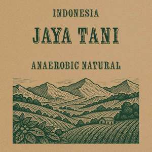 Indonesia Coffee Jaya Tani Anaerobic Natural - Green Beans COFFEE TECH - Special&hellip;