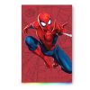 Limited Edition Spider-man 2TB Game Drive – coldPi.nz