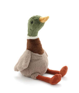 All: Hugo the Mallard Duck