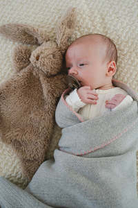 Soft Toys 1: Honey Bunny Hoochy Coochie