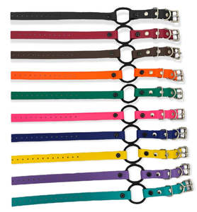 Biothane Collar Straps: 3/4 Inch Bungee Collar Strap (33 Inch Length)