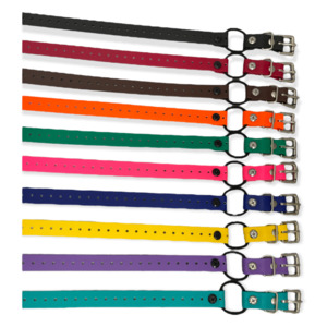 Biothane Collar Straps: 3/4" Mini Bungee Collar Strap For Smaller Dogs