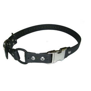 Biothane Collar Straps: Biothane Collar Strap - 3/4 Inch Wide Quick Snap & Bungee 33 Inch
