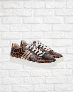 Kathryn Wilson Caine Trainer