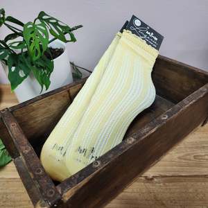 Accessories: Striped Delight Lace Sockettes