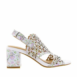 Bresley Under 120: BRESLEY SWEEPER STAR JASMINE