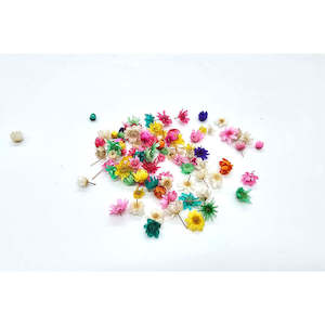 Dried Flowers: Micro Dried Coloured Daisies - 50+pcs
