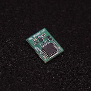 Beetleweight: THE BRAWN v1.0 (10A Brushed ESC)