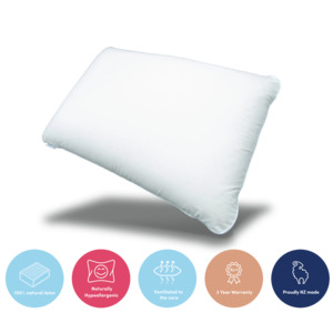 All Natural Latex Pillow