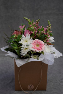 SOPHIA – village blooms