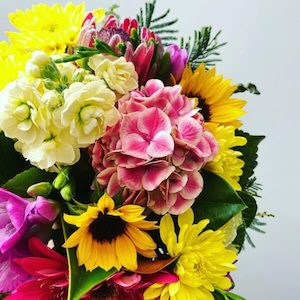 TALLULAH – village blooms