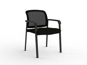 Ozone Meeting Chair
