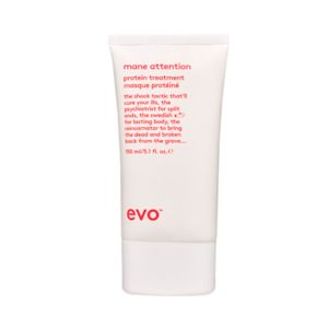 Treatment: Mane Attention Protein Treatment