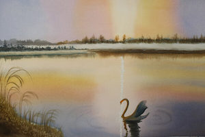 Products: Morning Silence