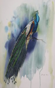 Products: The Peacock