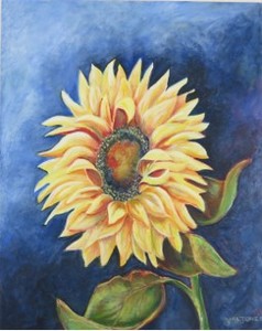 Sunflower
