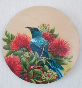 Tui in Pohutukawha