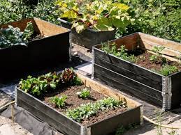 Raised Garden Bed from Pallets with Steve Rhodes on 7 June 2025