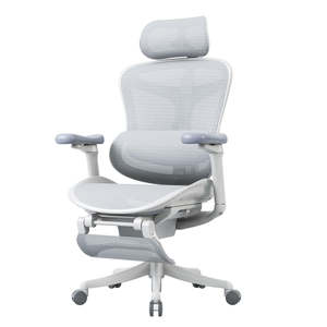 Sihoo C100 Mesh Ergonomics Office Chair - Grey