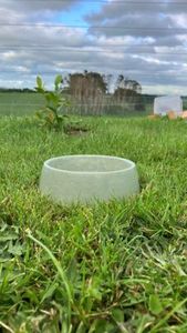 Dog Bowls Concrete Dog Bowls: 🌿 Mint 🌿