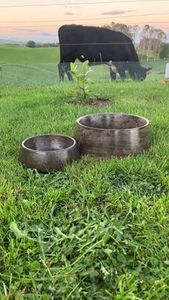 Dog Bowls Concrete Dog Bowls: ☕ Mocha ☕