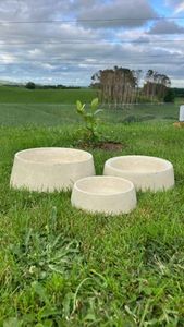 Dog Bowls Concrete Dog Bowls: 🥣 Oatmeal 🥣