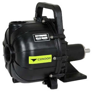 Pacer: Pacer 3 inch BSP(F) 706 poly pump pedestal mounted 870 lpm 37 m head