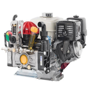 Annovi Reverberi Diaphragm Pumps: Annovi Reverberi AR50 diaphragm pump Honda GX200 5.5 hp 52 lpm 40 bar (580 psi)