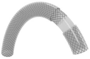 Hose: FoxHose PCLB 20 mm (3/4 inch) clear braided PVC hose 10 bar (145 psi) - all lengths