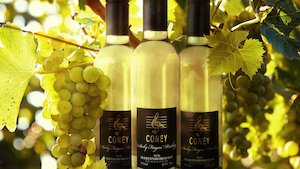 Products: Sticky Fingers 2020 - Dessert Wine - Coney Wines