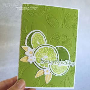 Products: Zesty Lime Birthday Card - Confetti Card Studio