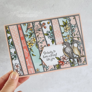 Products: Feathered Friends Card - Confetti Card Studio