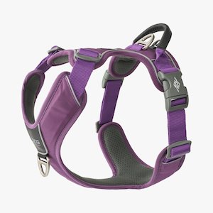 Products: DOG Copenhagen Comfort Walk Pro Harness - Confident Canines