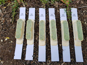 Ferafeed Striker 18g