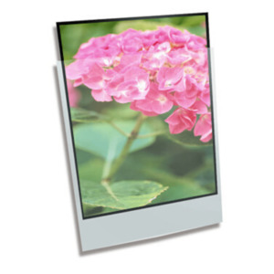 Polyethylene Enclosures: Polyethylene Enclosure - 18 x 26" 457mmx660mm